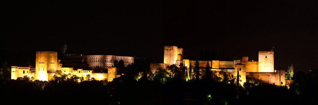 Merian442's profile banner image
