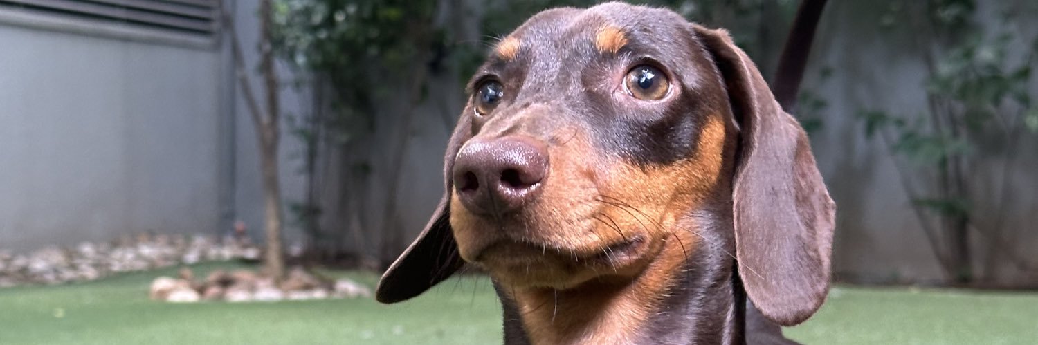 Lucas De Vito banner