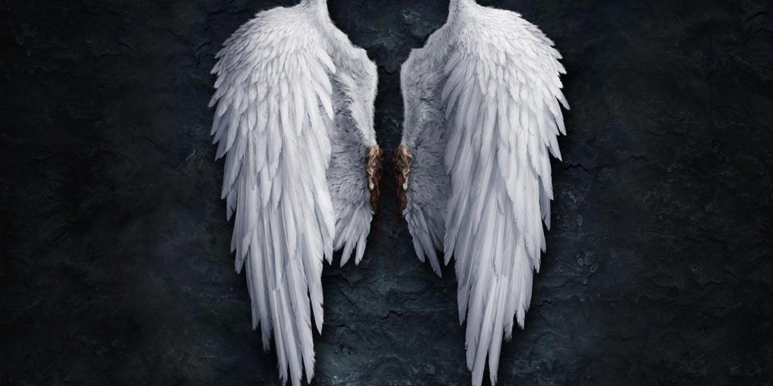 gabrielarucha's profile banner image