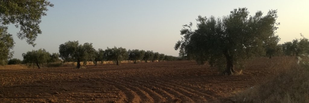 lartibag's profile banner image