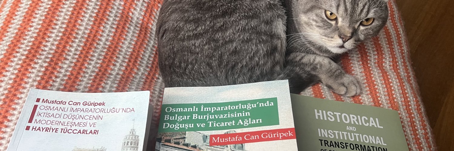 MCanGuripek's profile banner image