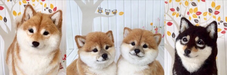 moko824428's profile banner image