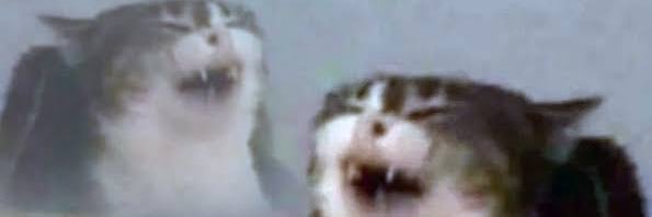 mrfaaahhh's profile banner image