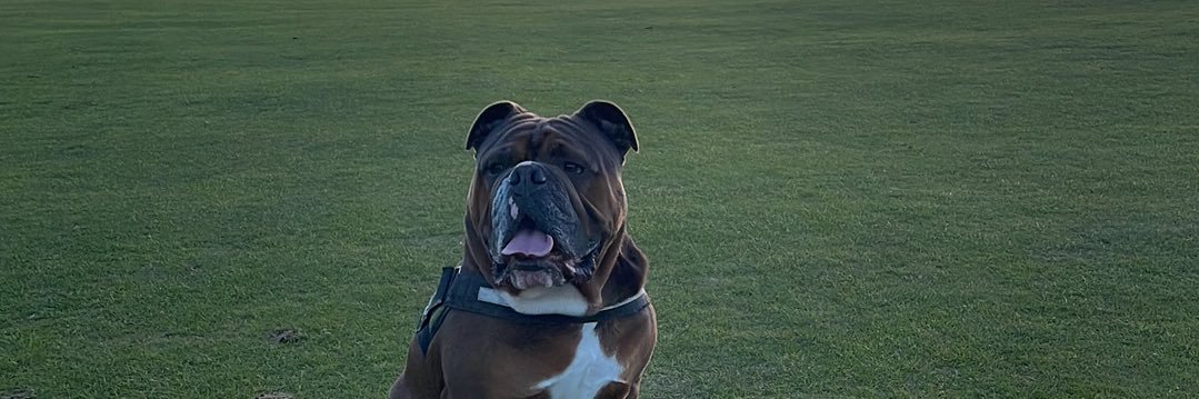 Coll Donaldson banner