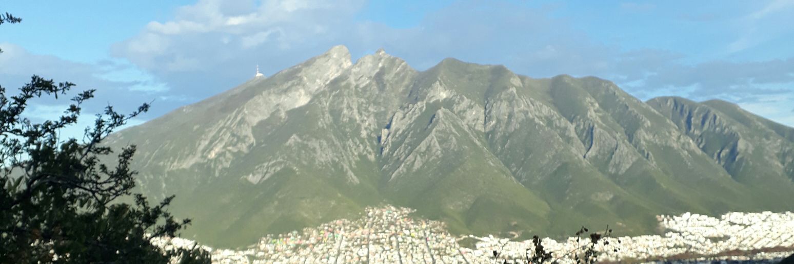 danimontemayor's profile banner image