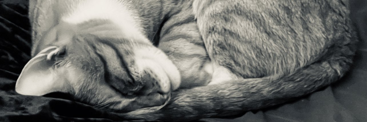 xRymydy's profile banner image