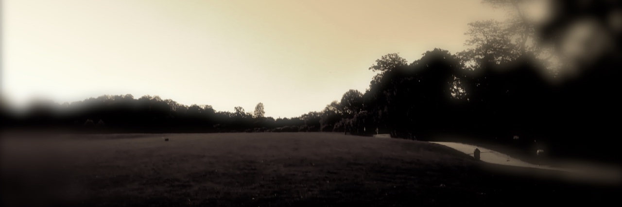 Hilary Robinson banner