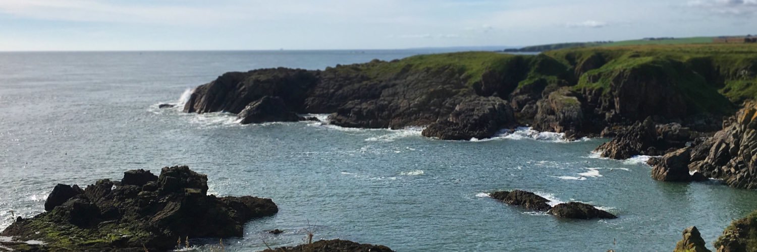 Cait_D's profile banner image