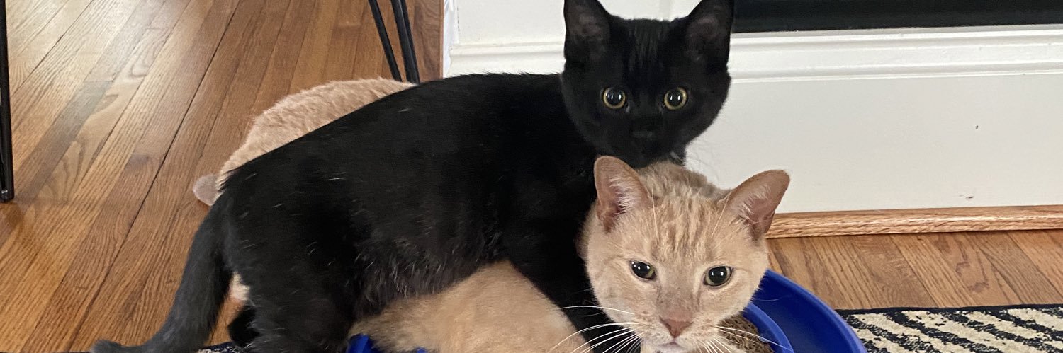 Jess Biller, DO banner