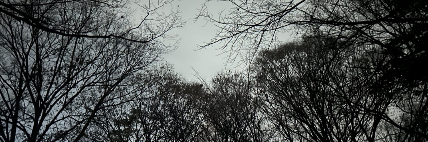 oimo2166's profile banner image