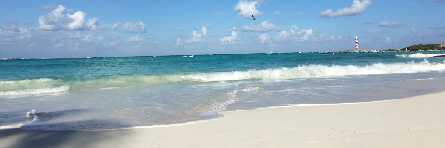 GreenMichelleM's profile banner image