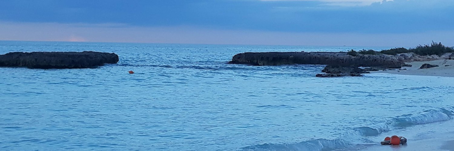 layoyoba's profile banner image