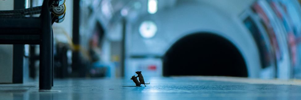 tamo_01's profile banner image