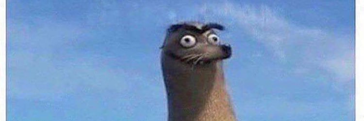 Maria Heinegg banner