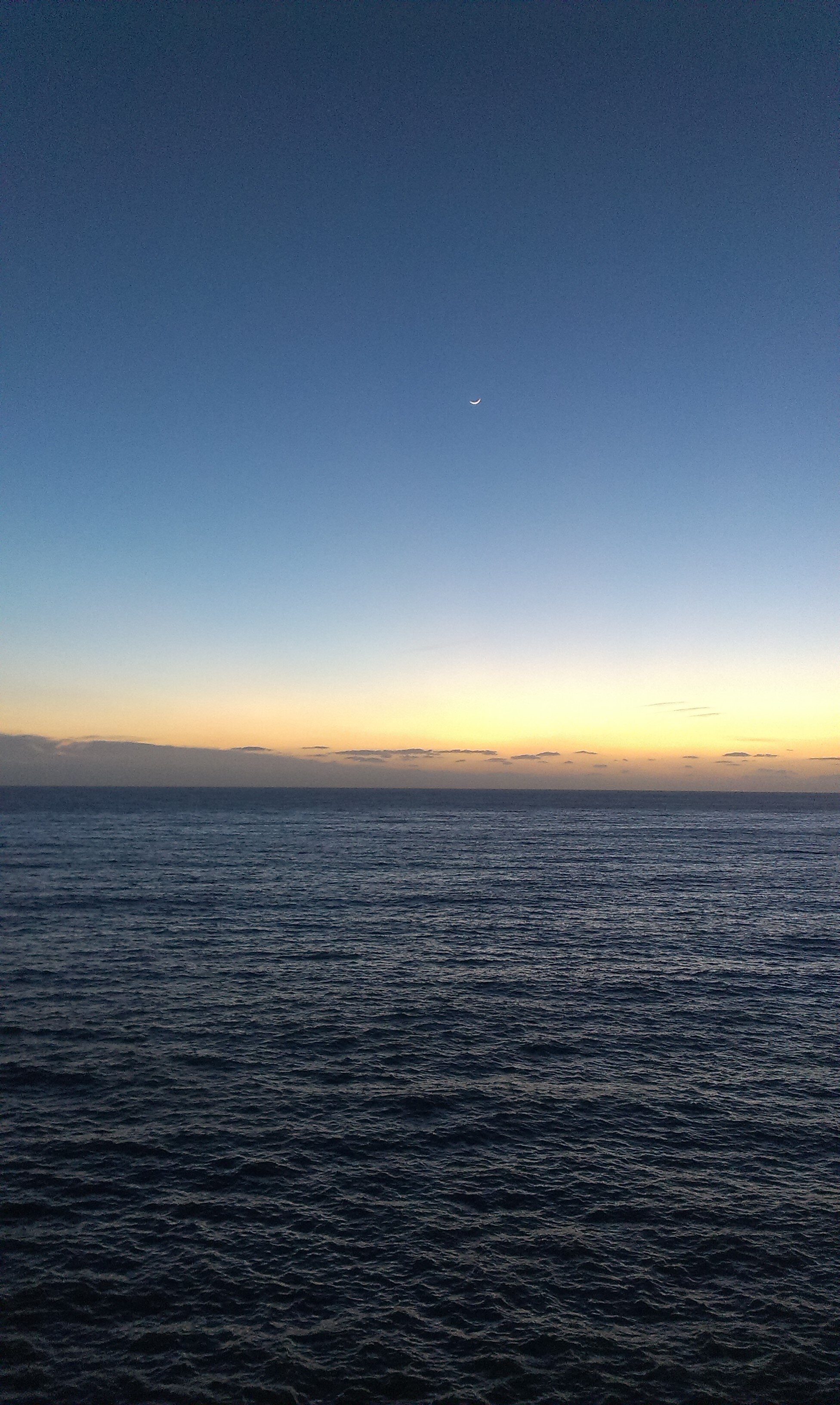 _Filigrana's profile banner image
