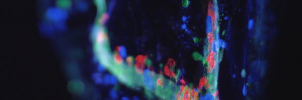 OKMAYDAY Profile Banner