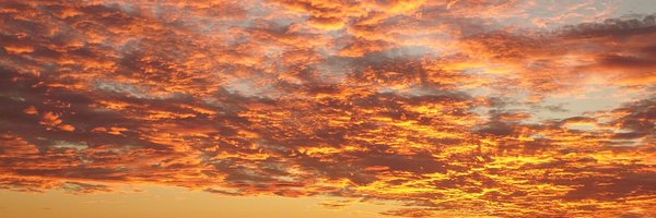 ida0x Profile Banner