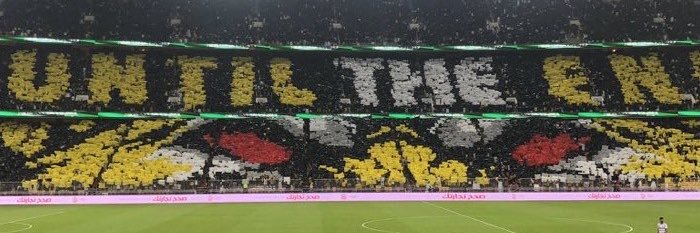 taigr banner