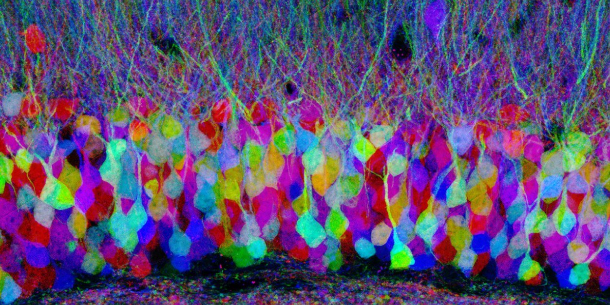 FORENSICSCIENC2's profile banner image