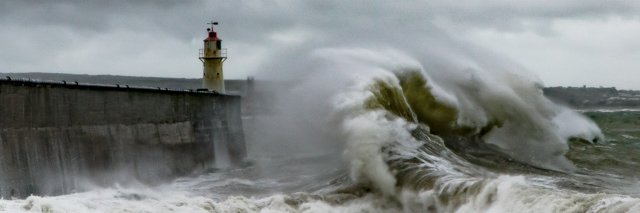 Fishing News Live banner