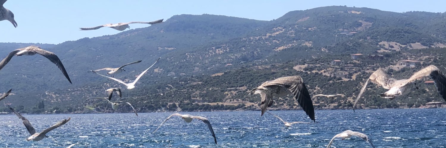 Ertugrul Cüre banner