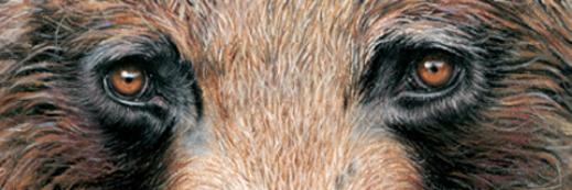 GrizzlyCLE's profile banner image