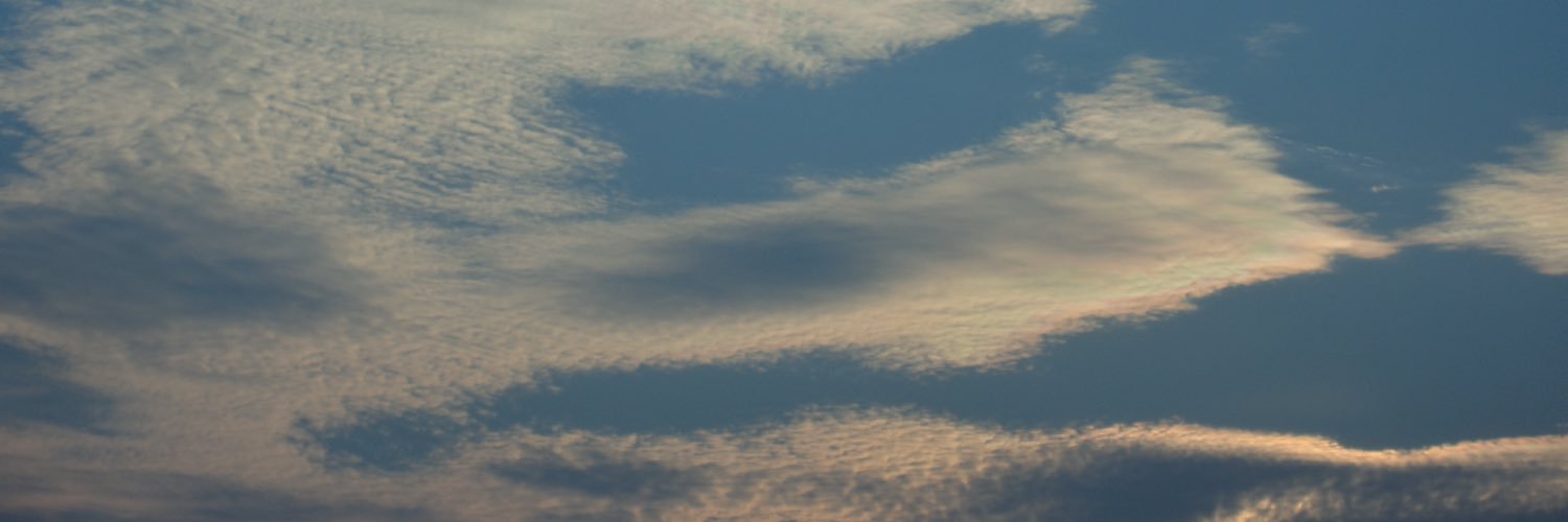s08144649's profile banner image