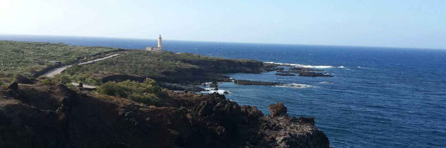padisalvo's profile banner image