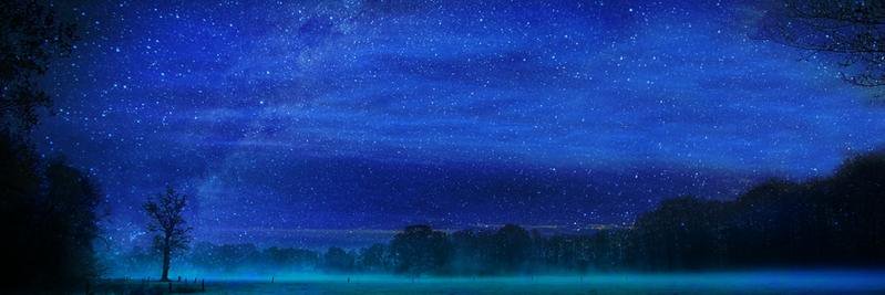 rayn256's profile banner image