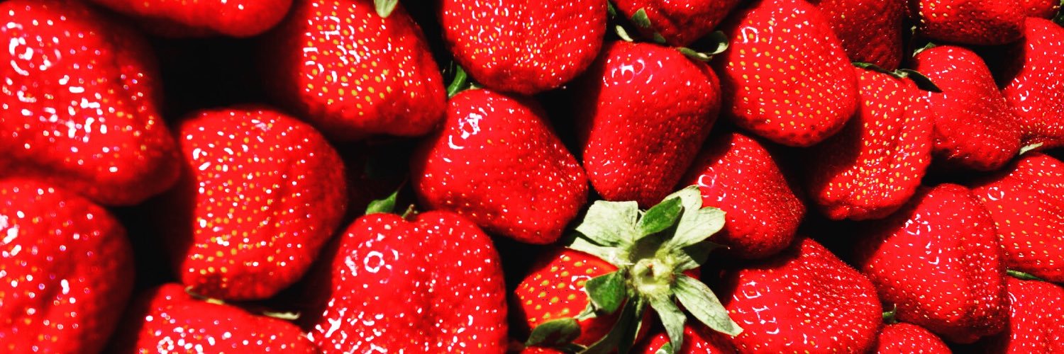 Emma Vendrell banner