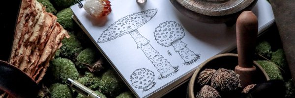 EricTecce Profile Banner