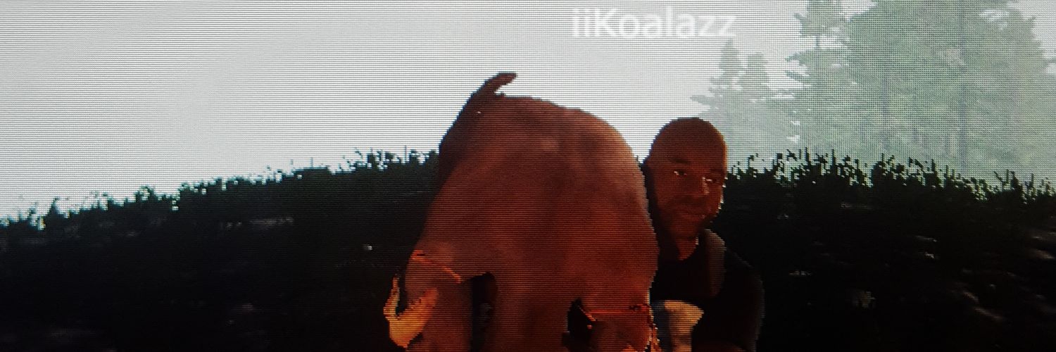 XxRabidxX's profile banner image