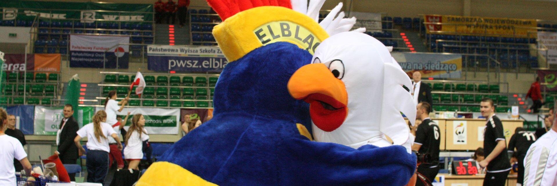 elblag2014's profile banner image