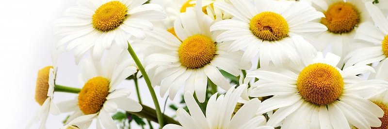 nahirnav's profile banner image