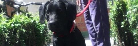 albro7362's profile banner image