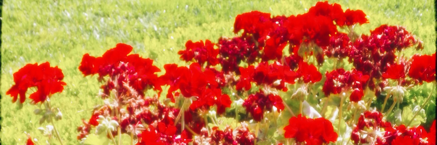 4fuccsake's profile banner image
