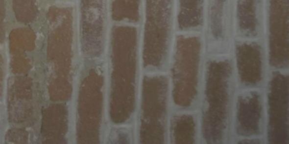 coltoncwlgdr's profile banner image
