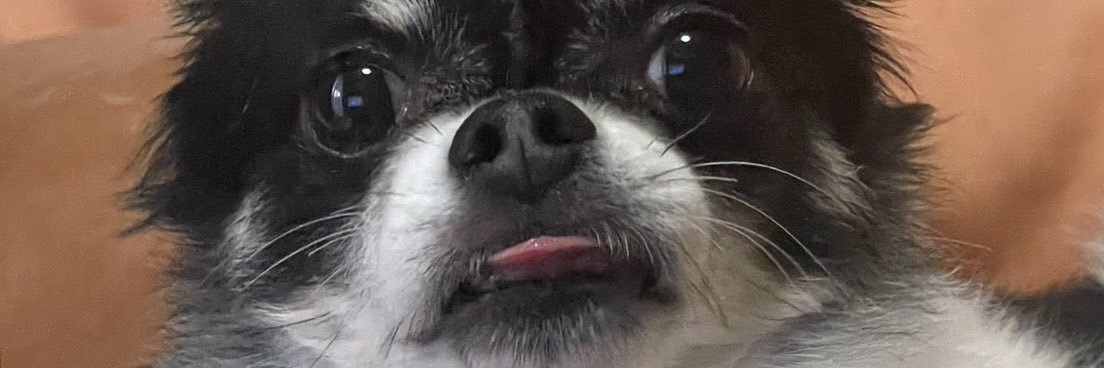 CherryLaim's profile banner image