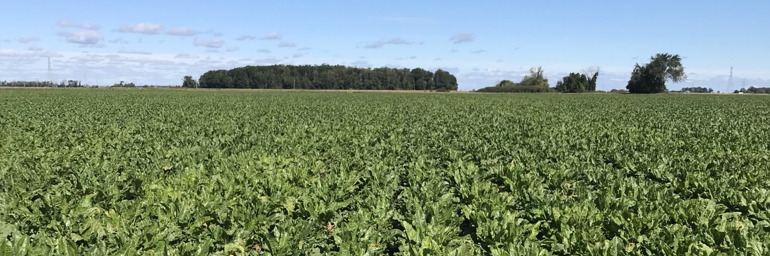 mike houghtaling banner