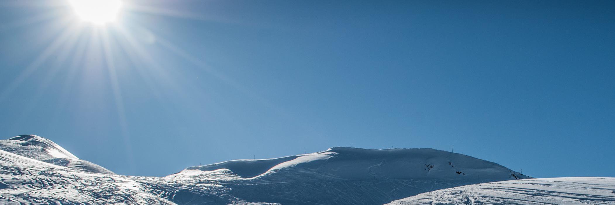 Damien Leprovost banner