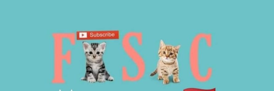 FeedingStCats's profile banner image