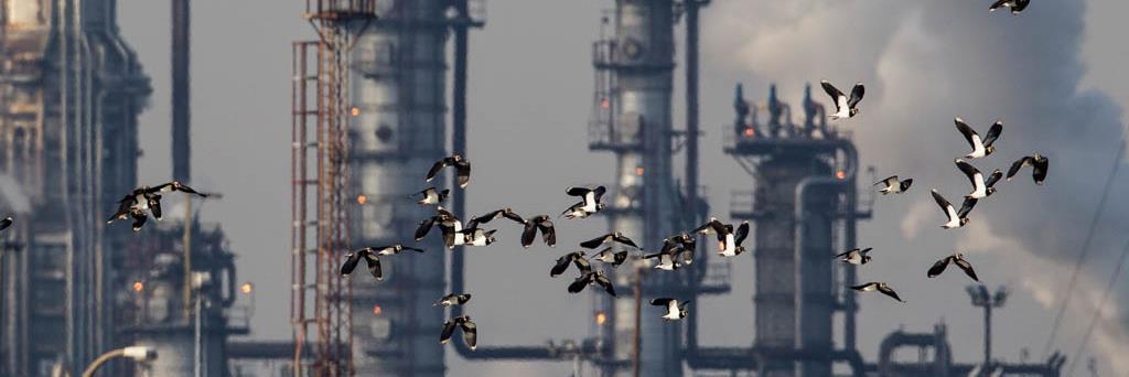 Inner Forth Landscape banner