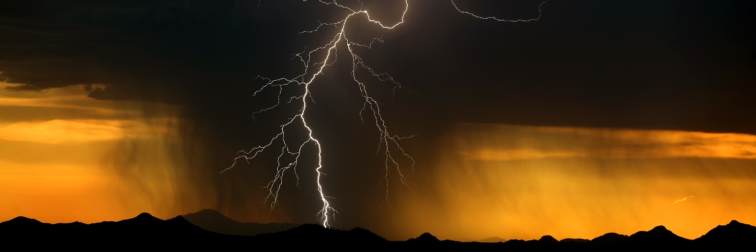 Kelly Presnell banner