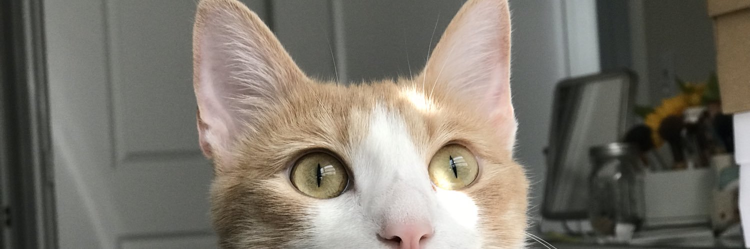 Monica9633's profile banner image