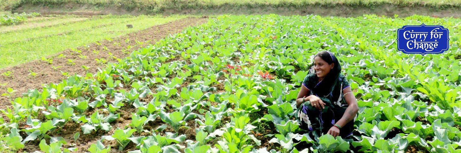 Curry for Change banner