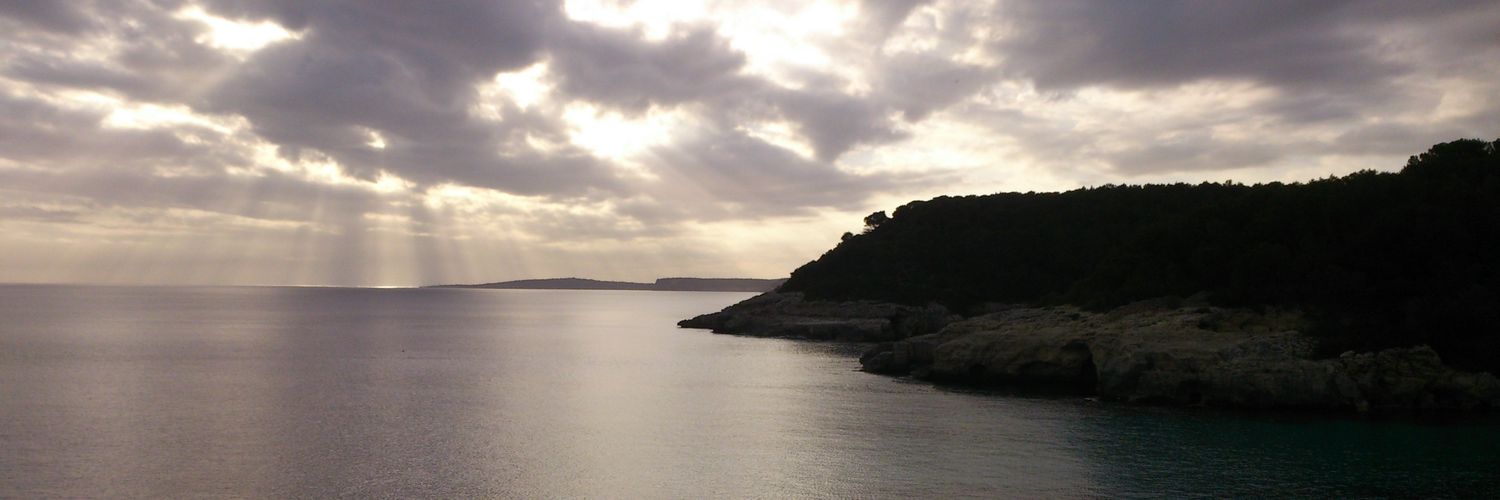 joantaltavull's profile banner image