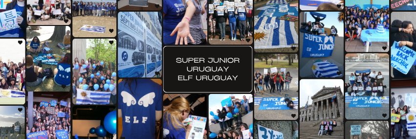 ELFUruguay's profile banner image