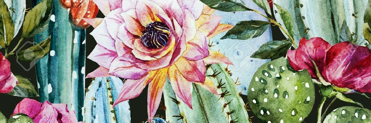 Weslynjo's profile banner image
