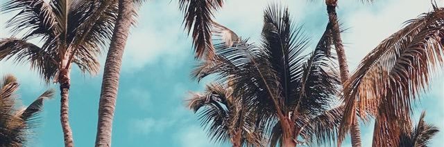 iFAISAL83's profile banner image