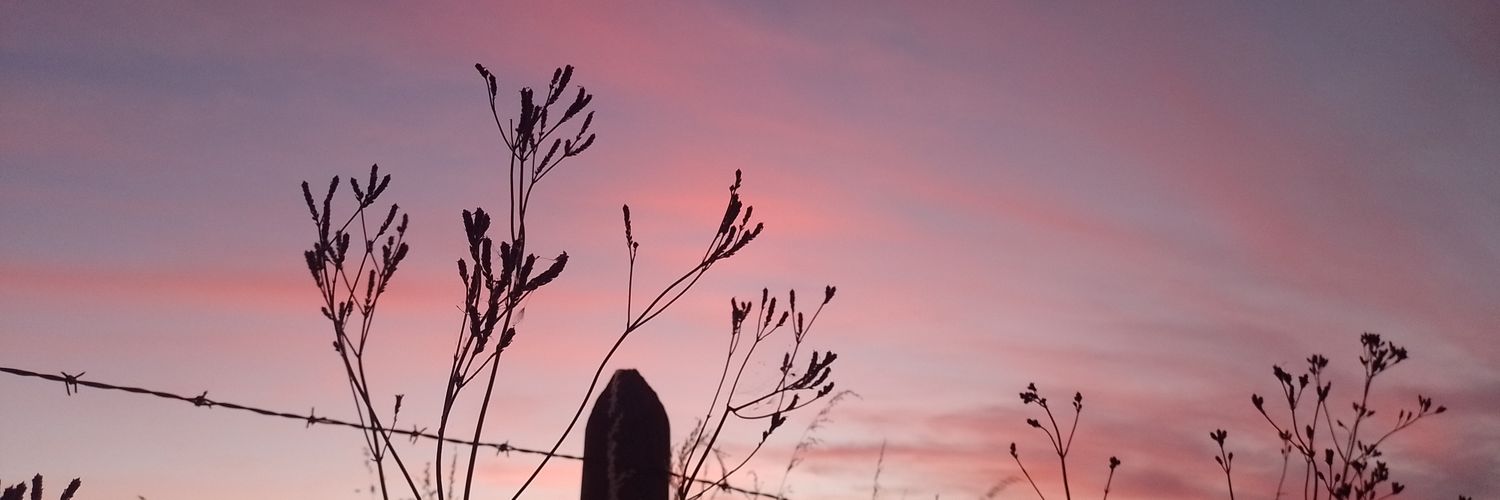 valeparaunfinal's profile banner image